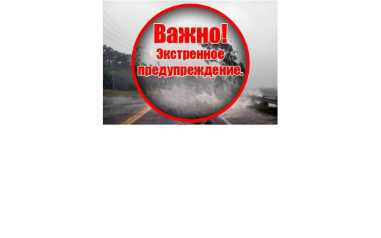 По данным ФГБУ «Западно - Сибирское УГМС» сутки 5 апреля 2025 года по Новосибирской области ожидается усиление ветра 18-23 м/с, местами 25 м/с и более.